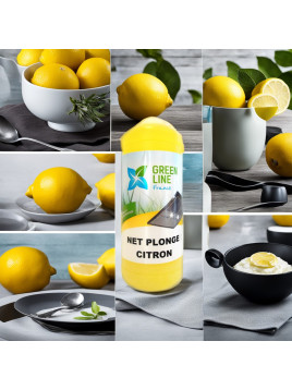 NET PLONGE CITRON (Flacon 1L)