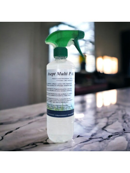 ASEPT MULTI PAE (Pulvérisateur 500 ml)