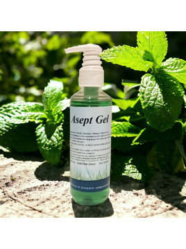 ASEPT GEL (Flacon 250 ml)