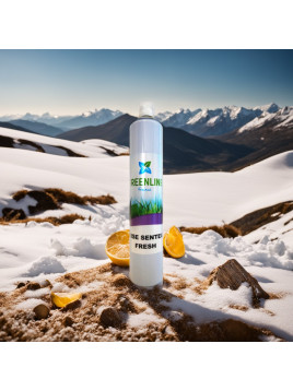 BRISE SENTEUR FRESH (Bombe...